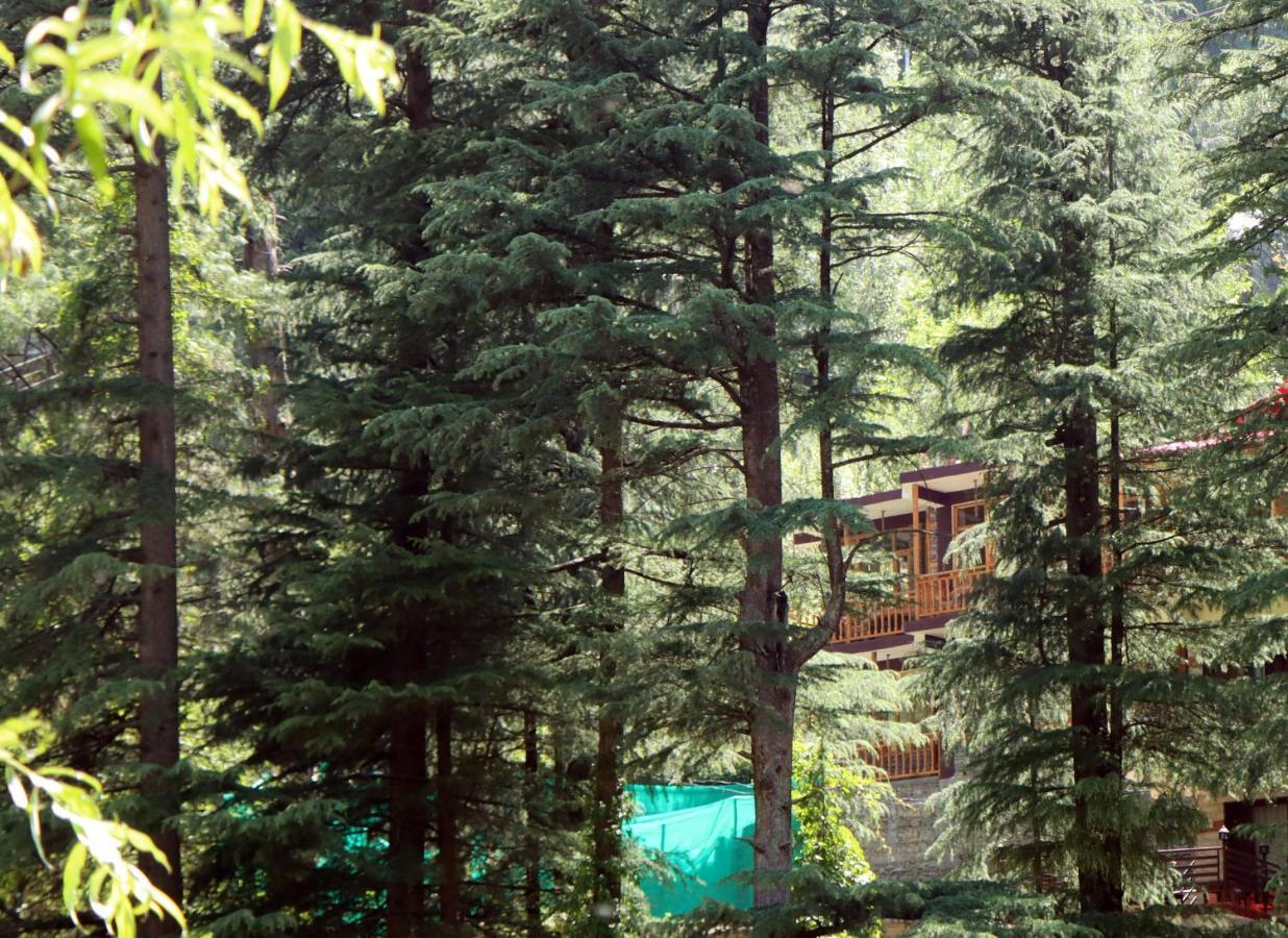 The Himalayan Heaven Daire Jibhi Dış mekan fotoğraf