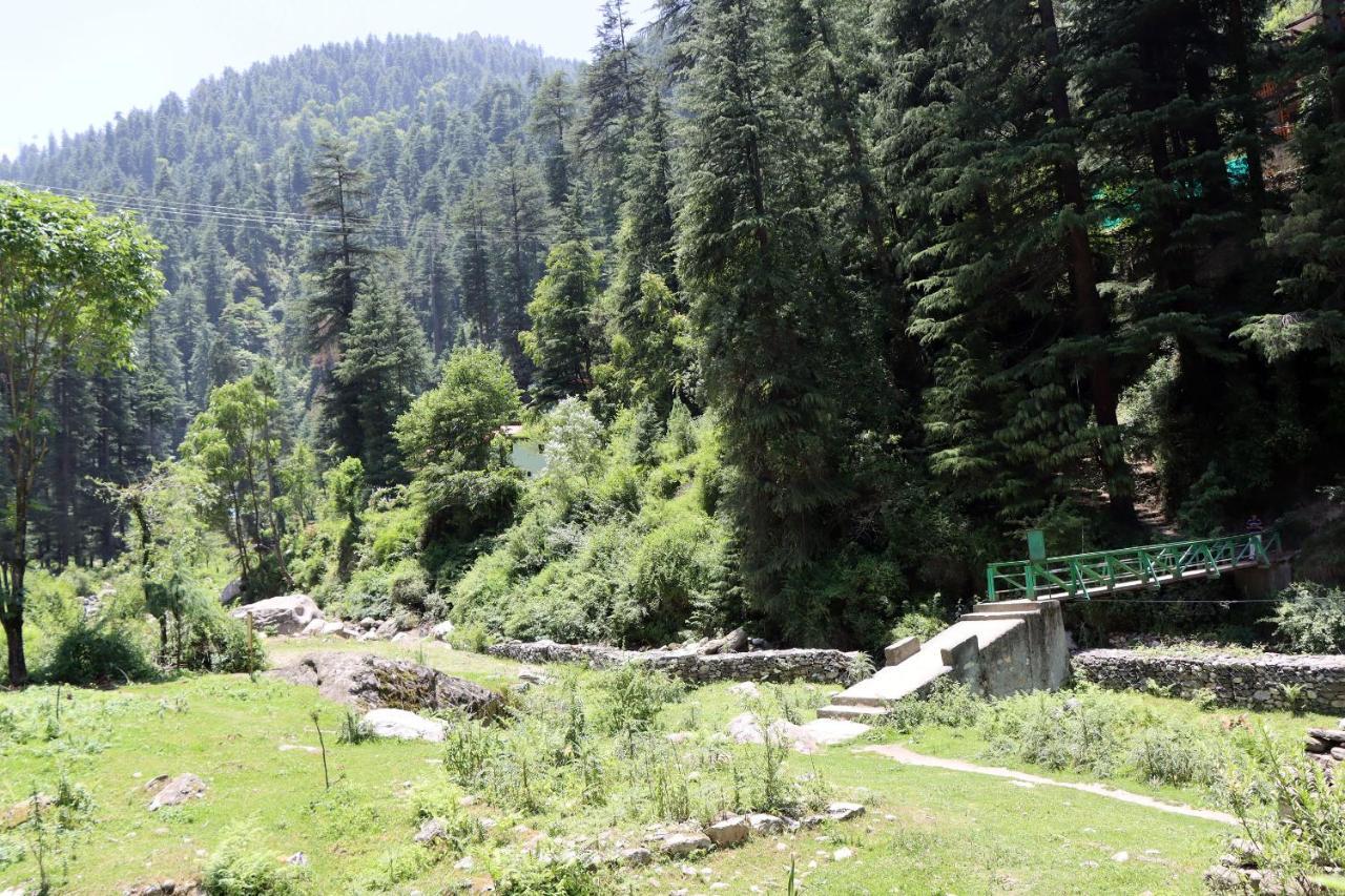 The Himalayan Heaven Daire Jibhi Dış mekan fotoğraf