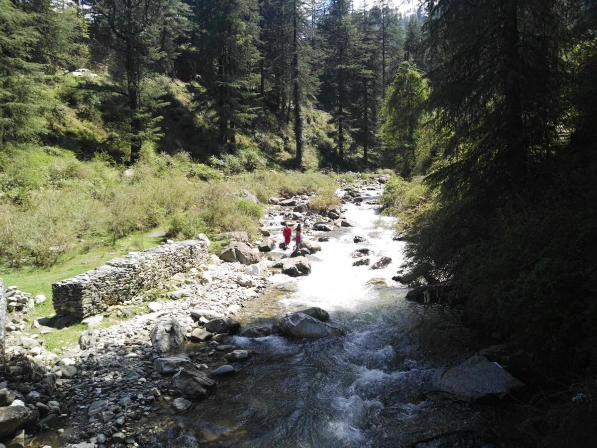 The Himalayan Heaven Daire Jibhi Dış mekan fotoğraf